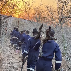 CAMP 1 : 4-8 October 2025 (5 Days)